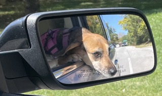 no look-behind-me glances